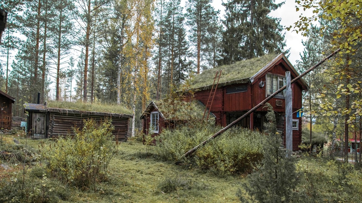 a red house with a grass roof in the woods